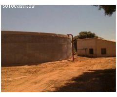 Finca de 1718 hectáreas de regadío, tradicional, intensivo y súper intensivo en