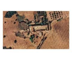 Finca de 1718 hectáreas de regadío, tradicional, intensivo y súper intensivo en