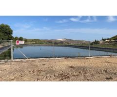 Alquiler y venta fincas cítricos y frutales en Murcia