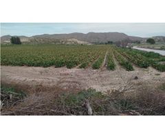 Finca de 700 hectáreas en Albacete