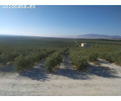 Finca 898 hectáreas en Jaén
