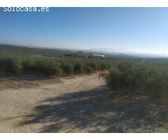 Finca 898 hectáreas en Jaén
