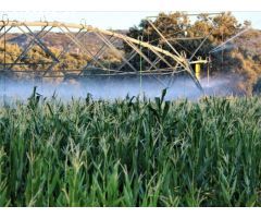 Finca de 4003 hectáreas en Ciudad Real