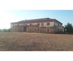 Finca en venta con olivos en Jaén