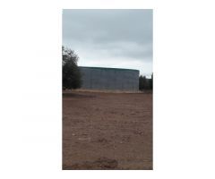 Finca en venta con olivos en Jaén