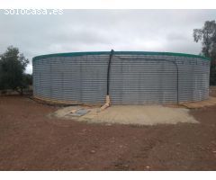 Finca en venta con olivos en Jaén