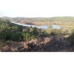 Finca en venta con olivos en Jaén