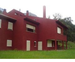FINCA FORESTAL EN GUADALUPE (CÁCERES)