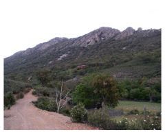 FINCA FORESTAL EN GUADALUPE (CÁCERES)