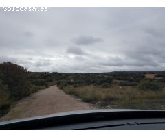FINCA DE CAZA OSSA DE MONTIEL (ALBACETE)