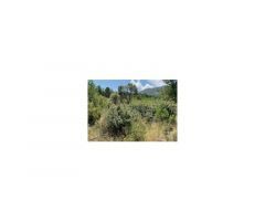 Finca de caza de 400 hectáreas en Hellín (Albacete)