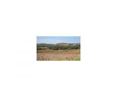 Finca de caza de 400 hectáreas en Hellín (Albacete)