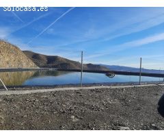 Finca de aguacates en Málaga