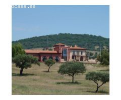 Venta de dos fincas en Ciudad Real y Badajoz