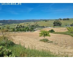 Finca ecuestre en Jimena de la Frontera (Cádiz)