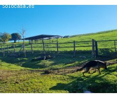 Finca ecuestre en Jimena de la Frontera (Cádiz)