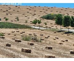 Finca ecuestre en Jimena de la Frontera (Cádiz)