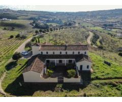 Finca en Casares (Málaga)