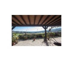 Finca en Casares (Málaga)