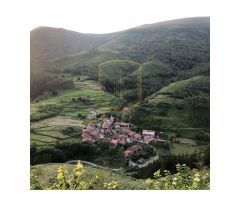 Complejo turistico con 8 apartamentos en venta en Celucos, Cantabria