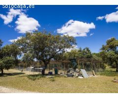 FINCA EN NAVALCARNERO A 26 Km DEL CENTRO DE MADRID (No urbanizable)