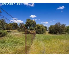 FINCA EN NAVALCARNERO A 26 Km DEL CENTRO DE MADRID (No urbanizable)