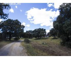 FINCA EN NAVALCARNERO A 26 Km DEL CENTRO DE MADRID (No urbanizable)
