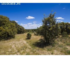FINCA EN NAVALCARNERO A 26 Km DEL CENTRO DE MADRID (No urbanizable)