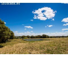 FINCA EN NAVALCARNERO A 26 Km DEL CENTRO DE MADRID (No urbanizable)
