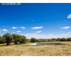 FINCA EN NAVALCARNERO A 26 Km DEL CENTRO DE MADRID (No urbanizable)