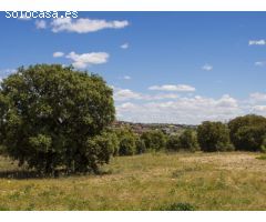 FINCA EN NAVALCARNERO A 26 Km DEL CENTRO DE MADRID (No urbanizable)