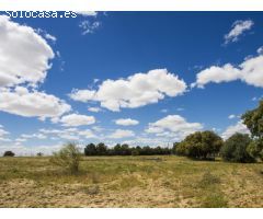 FINCA EN NAVALCARNERO A 26 Km DEL CENTRO DE MADRID (No urbanizable)