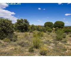 FINCA EN NAVALCARNERO A 26 Km DEL CENTRO DE MADRID (No urbanizable)