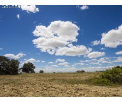 FINCA EN NAVALCARNERO A 26 Km DEL CENTRO DE MADRID (No urbanizable)