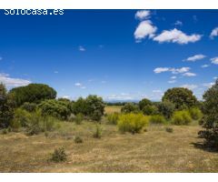 FINCA EN NAVALCARNERO A 26 Km DEL CENTRO DE MADRID (No urbanizable)