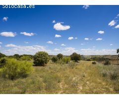 FINCA EN NAVALCARNERO A 26 Km DEL CENTRO DE MADRID (No urbanizable)