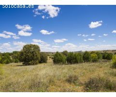 FINCA EN NAVALCARNERO A 26 Km DEL CENTRO DE MADRID (No urbanizable)