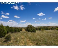 FINCA EN NAVALCARNERO A 26 Km DEL CENTRO DE MADRID (No urbanizable)