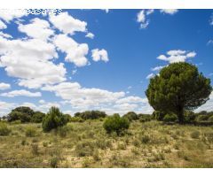 FINCA EN NAVALCARNERO A 26 Km DEL CENTRO DE MADRID (No urbanizable)