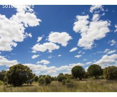 FINCA EN NAVALCARNERO A 26 Km DEL CENTRO DE MADRID (No urbanizable)