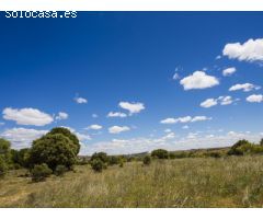 FINCA EN NAVALCARNERO A 26 Km DEL CENTRO DE MADRID (No urbanizable)