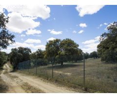 FINCA EN NAVALCARNERO A 26 Km DEL CENTRO DE MADRID (No urbanizable)