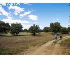 FINCA EN NAVALCARNERO A 26 Km DEL CENTRO DE MADRID (No urbanizable)