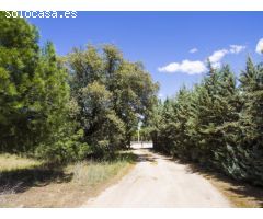 FINCA EN NAVALCARNERO A 26 Km DEL CENTRO DE MADRID (No urbanizable)
