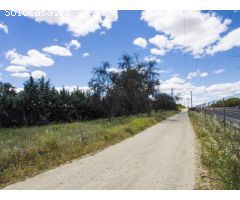 FINCA EN NAVALCARNERO A 26 Km DEL CENTRO DE MADRID (No urbanizable)
