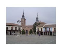 LOTE DE 15 FINCAS RÚSTICAS