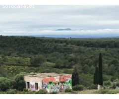PUNTA MILA PARQUE
