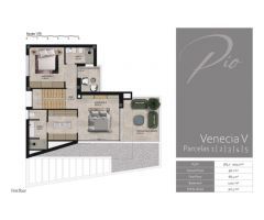 VENECIA V