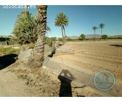 Se vende terreno con riego