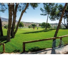 ALLURE ALENDA GOLF!